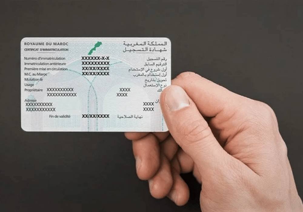 Homologation Carte Grise Frigorifique